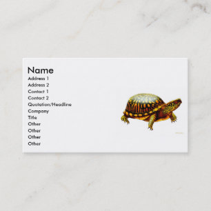 Ostkasten-Schildkröte-Visitenkarte Visitenkarte