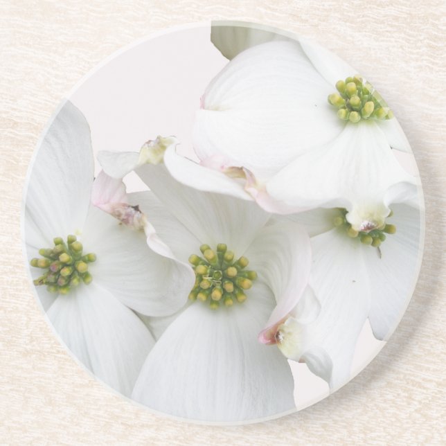 Östliche Dogwood-Blüten - Cornus florida Untersetzer (Vorne)