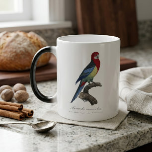 Östliche Rosella oder Platycercus eximius Sittich Verwandlungstasse