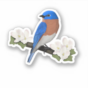 Östlicher Blauvogel Vogelliebhaber Vogelbeobachter Aufkleber