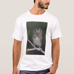 Östlicher Schreieule, Megascops asio, Otus 2 T-Shirt