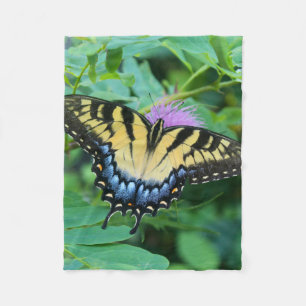 Östlicher Tigerschwalbenschmetterling Fleecedecke