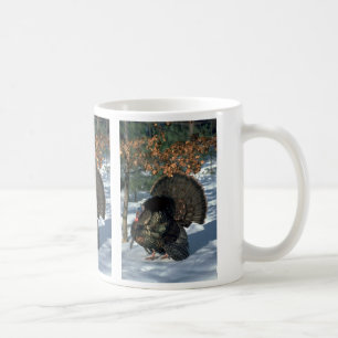 Östlicher wilder Truthahn, enormer Gobbler in der Kaffeetasse