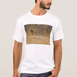 Östliches Baumwollschwanzkaninchen hoppelt T-Shirt