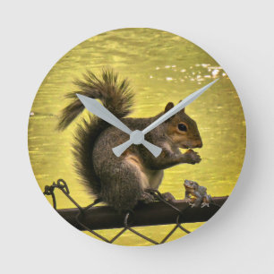 Östliches Grauhörnchen (Sciurus carolinensis) Runde Wanduhr