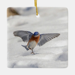 Ostösterliche Blaukehlchen tanzt im Schnee Keramikornament