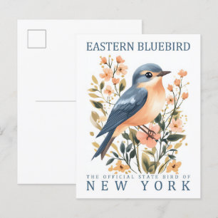 Ostösterliche Blaumeise Vogel von New York USA Postkarte