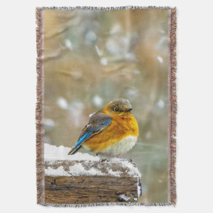 Ostöstlicher Blauvogel im Schnee - Originalfotogra Decke