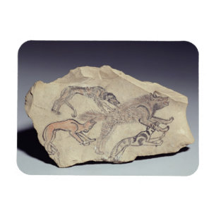 Ostracon, das einen Hund jagt eine Hyäne darstell Magnet