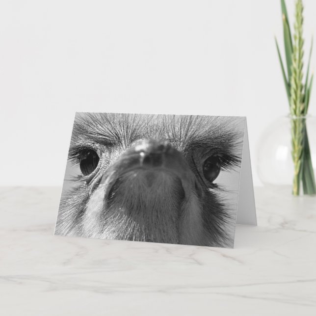 Ostrich #1-Greeting card Karte (Vorderseite)