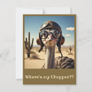 " OSTRICH AVIATOR " POSTKARTE