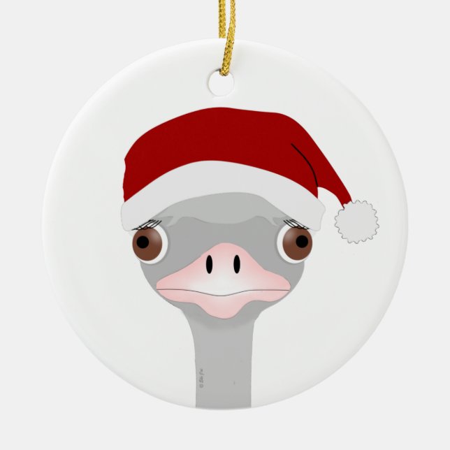 Ostrich Christmas Ornament (Vorne)
