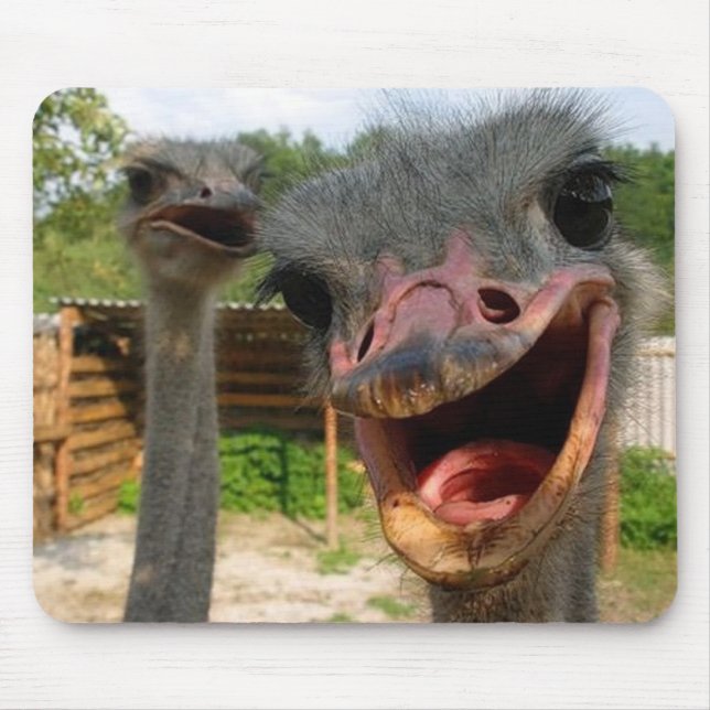 Ostrich Couple Mousepad (Vorne)