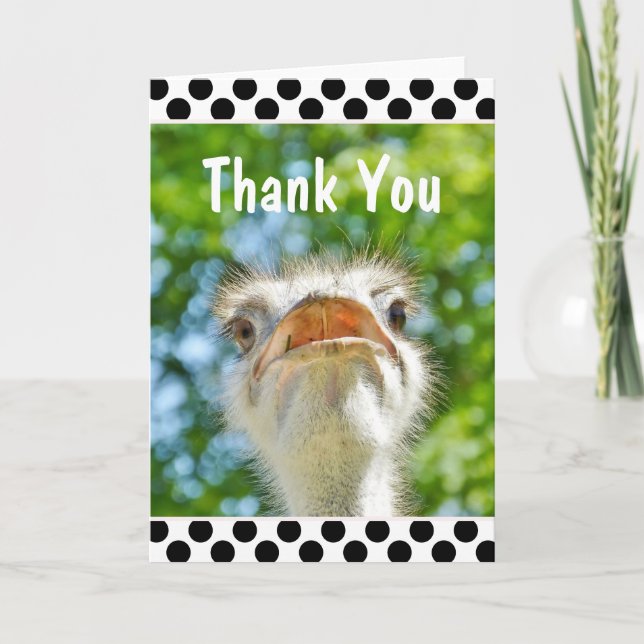 Ostrich drôle - Carte de remerciements (Devant)