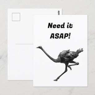 Ostrich läuft Coole Sportart Postkarte