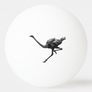 Ostrich läuft Coole Sportart Tischtennisball