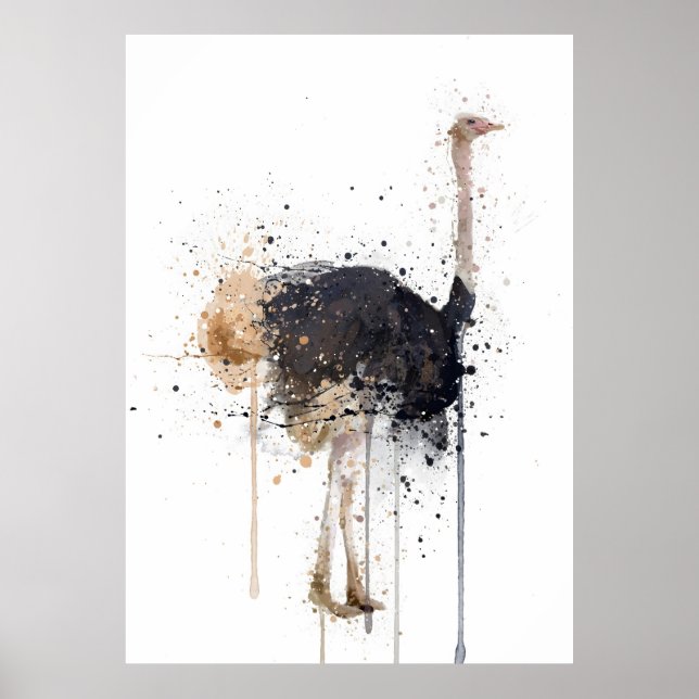 Ostrich Poster (Vorne)