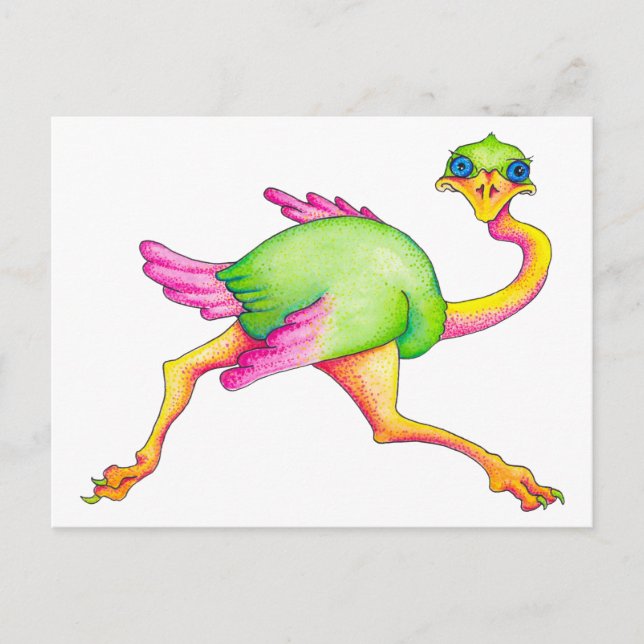Ostrich Postkarte (Vorderseite)
