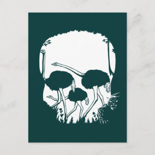 Ostrich Skull Illusion Postkarte