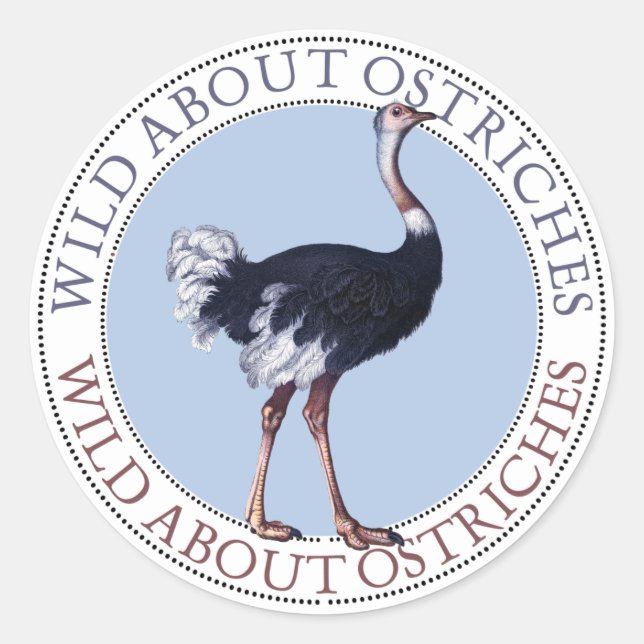 Ostrich Stickers (Vorderseite)