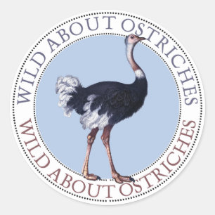 Ostrich Stickers