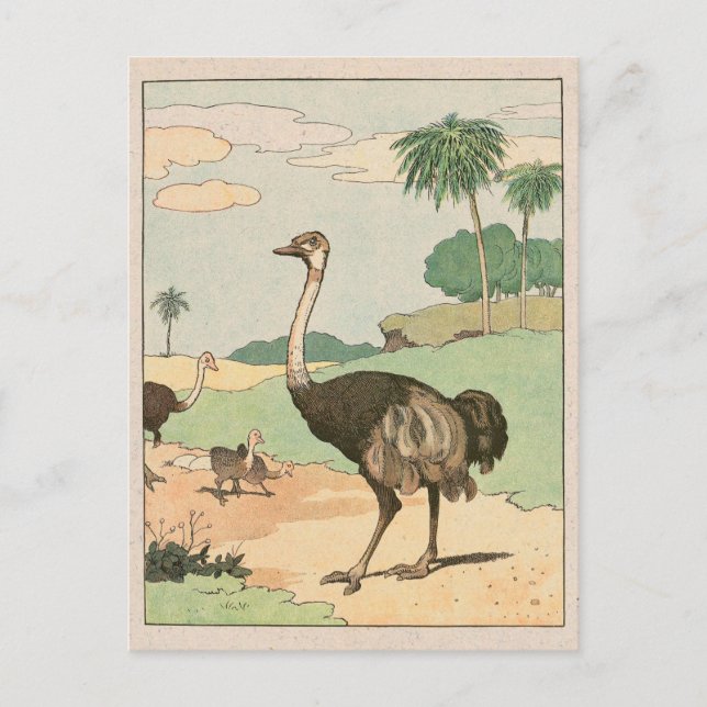 Ostrich Storybook Zeichnend Postkarte (Vorderseite)