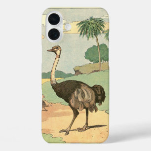 Ostrich Storybook Zeichnend title_seo2