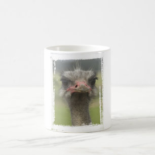 Ostrich-Tasse Kaffeetasse