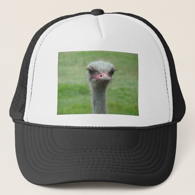Ostrich Truckerkappe (Vorderseite)