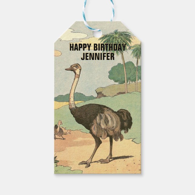 Ostrich Zoo Thema Geburtstag Geschenkanhänger (Vorderseite)