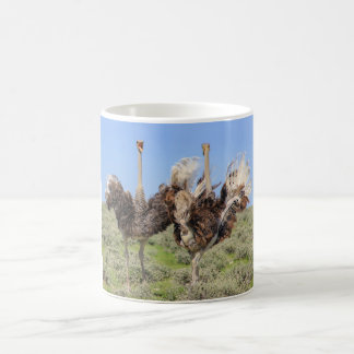 Ostriches, Café Mug