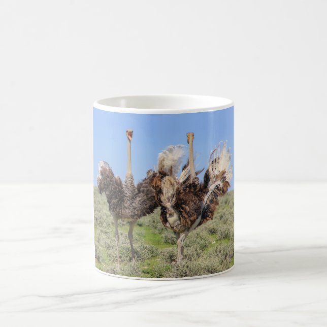 Ostriches, Café Mug (Centre)