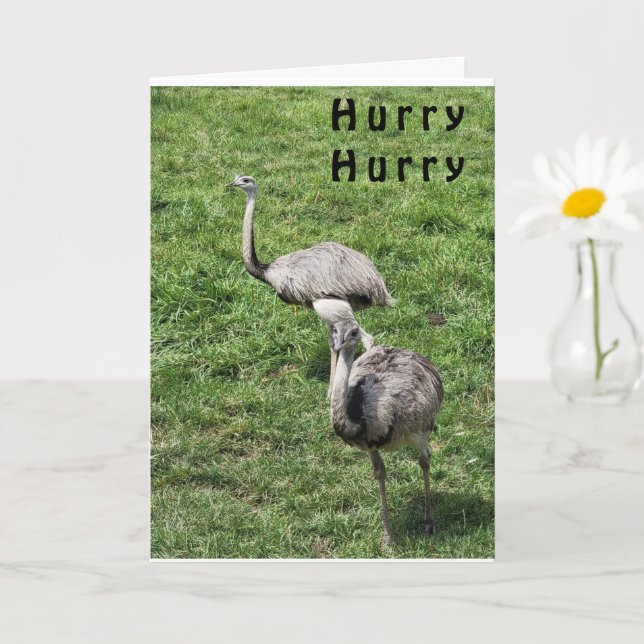OSTRICHES DIT HEUREUX **AVRIL ANNIVERSAIRE** CARTE (Petite plante)