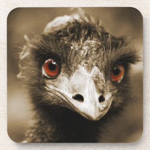 Ostriches Look dessous de verre