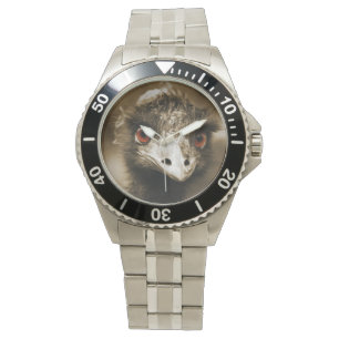 Ostriches Regardez les montres