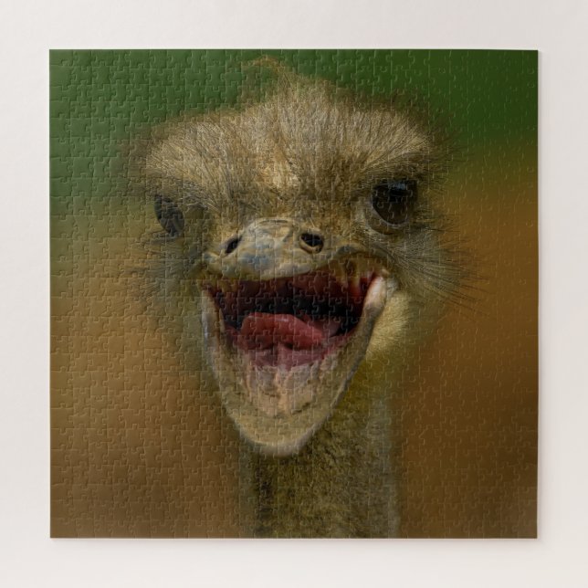 Ostrich's Embrace (Vertikal)