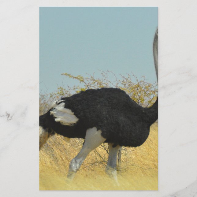 Ostrige für einen Run Briefpapier (Vorderseite)