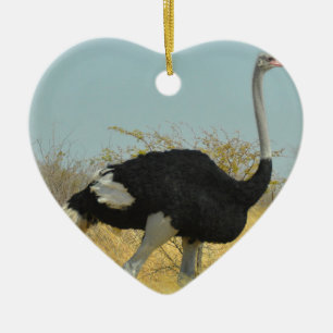 Ostrige für einen Run Keramikornament