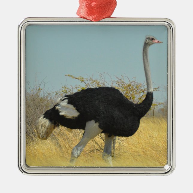 Ostrige für einen Run Ornament Aus Metall (Vorne)