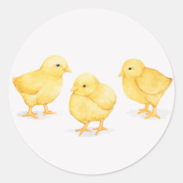 OSTSCHICKEN RUNDE KLASSIKER-STICKER RUNDER AUFKLEBER