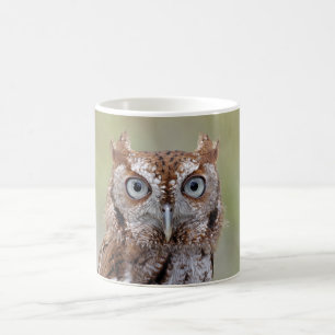 OstSchrei-Eulen-Fotografie Kaffeetasse