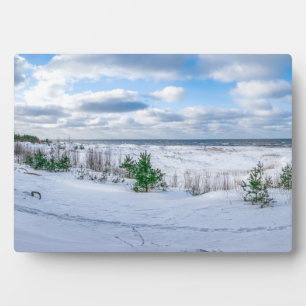 Ostseeküste im Winter schneebedeckt Fotoplatte