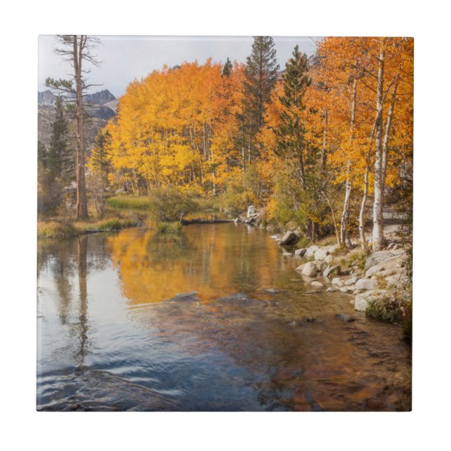 OstSierra, Bischof Creek, California Outlet Fliese (Vorderseite)