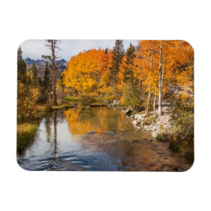 OstSierra, Bischof Creek, Kalifornien Outlet Magnet