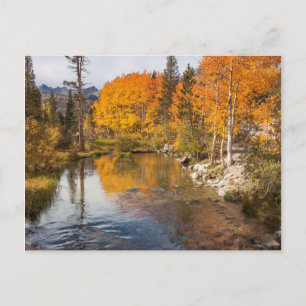 OstSierra, Bischof Creek, Kalifornien Outlet Postkarte