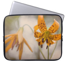 Ostsierra Tiger-Lilien-Wildblumen