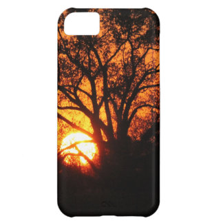 Osttexas-Sonnenuntergang iPhone 5C Hülle