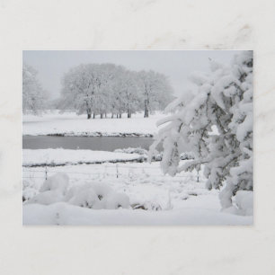 Osttexas Winter 2009 Postkarte