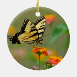 Osttiger-Frack-Schmetterling Keramikornament