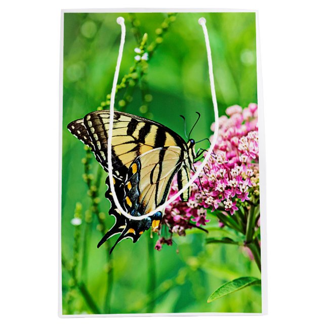 Osttiger-Frack-Schmetterling Mittlere Geschenktüte (Vorderseite)